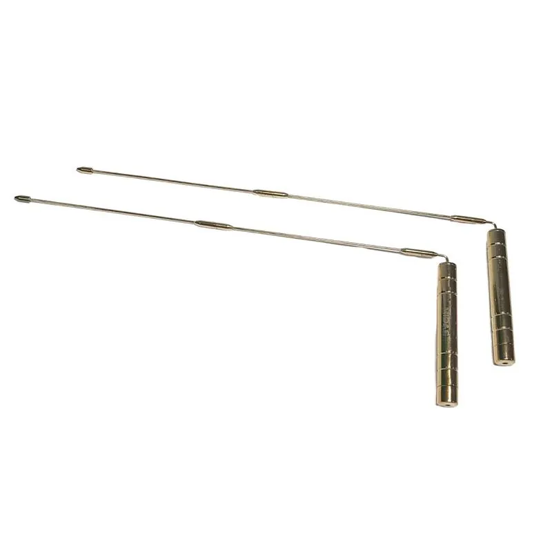 web-603012-lagina20c6c8.webp LAGINA LRL