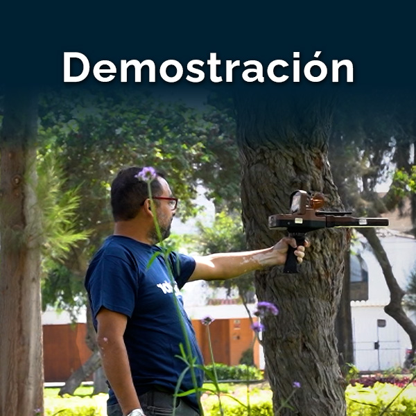 demostracion gold vision