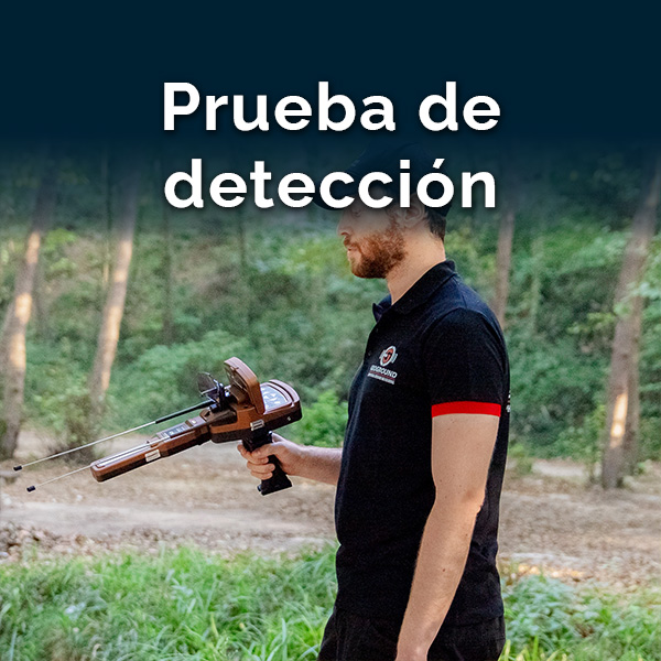 prueba gold vision